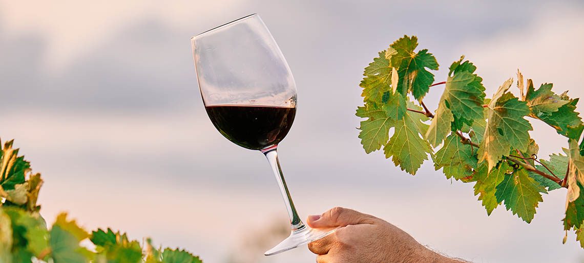 vino